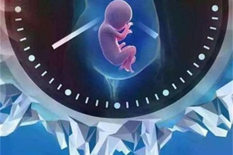 输卵管堵塞了在厦门安宝医院的试管婴儿成功率高吗?